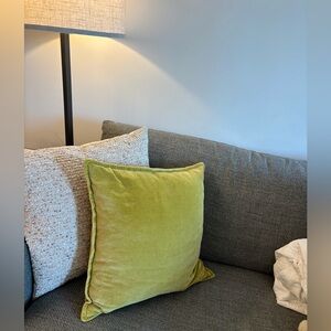 Crate & Barrel Brenner Relaxed Washed Organic Cotton Velvet 20"x20" Throw Pillow